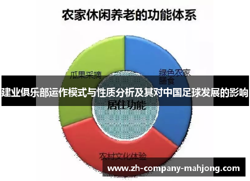 建业俱乐部运作模式与性质分析及其对中国足球发展的影响