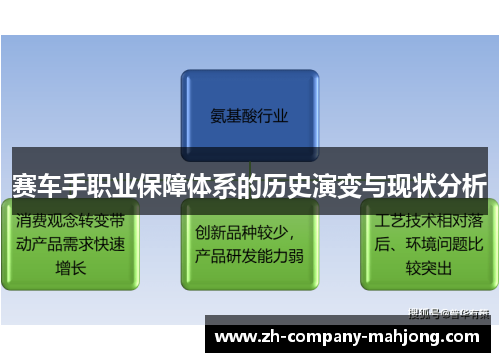 赛车手职业保障体系的历史演变与现状分析 赛车手职业保障体系的历史演变与现状分析